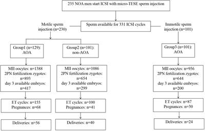 Embryo development and live birth resulted from artificial oocyte activation after microdissection testicular sperm extraction with ICSI in patients with non-obstructive azoospermia